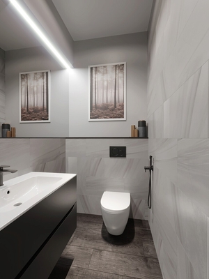 Раздельный санузел в едином стиле